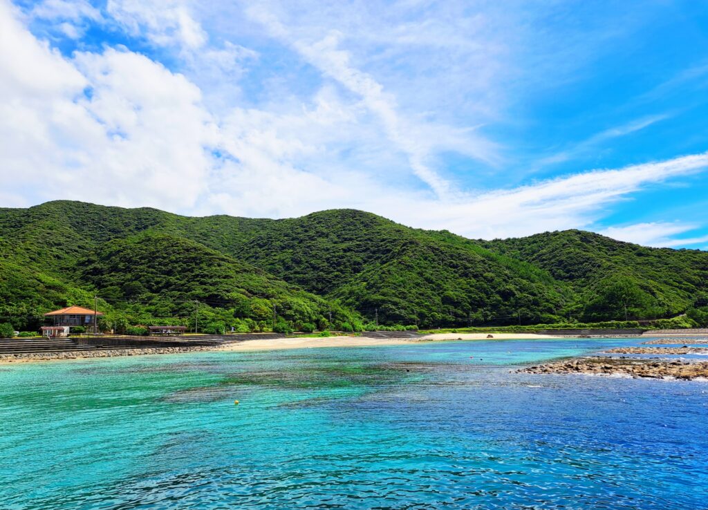 奄美大島移住の成功要因分析