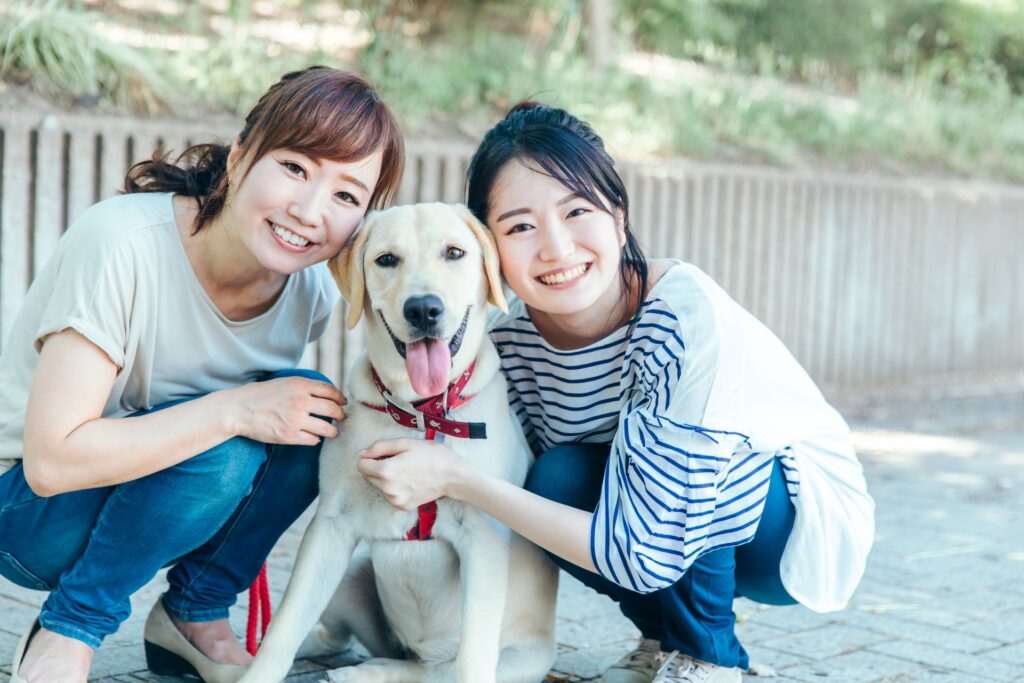 犬連れ水上温泉旅行で絶対に守りたいマナーと注意点