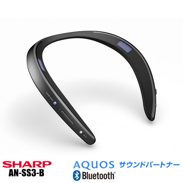 シャープ サウンドパートナー AN-SS3